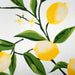 CAMZ38780 Dining & Entertaining/Table Linens/Tablecloths