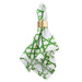 CBBB01337 Dining & Entertaining/Table Linens/Napkins & Napkin Rings