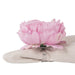 Z01919 Dining & Entertaining/Table Linens/Napkins & Napkin Rings