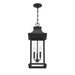5-453-BK Lighting/Outdoor Lighting/Outdoor Pendants