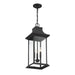 5-453-BK Lighting/Outdoor Lighting/Outdoor Pendants