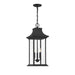 5-453-BK Lighting/Outdoor Lighting/Outdoor Pendants