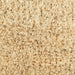 CAMZ35800 Holiday/Christmas/Christmas Outdoor Decor