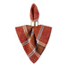 CAMZ11345 Holiday/Thanksgiving & Fall/Thanksgiving & Fall Tableware and Decor