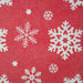 CAMZ35750 Holiday/Christmas/Christmas Storage