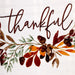 CAMZ11850 Dining & Entertaining/Table Linens/Placemats