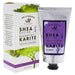 35010LV Bathroom/Bathroom Accessories/Soaps & Lotions