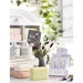 35113LV Bathroom/Bathroom Accessories/Soaps & Lotions