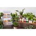 88612OL Bathroom/Bathroom Accessories/Soaps & Lotions