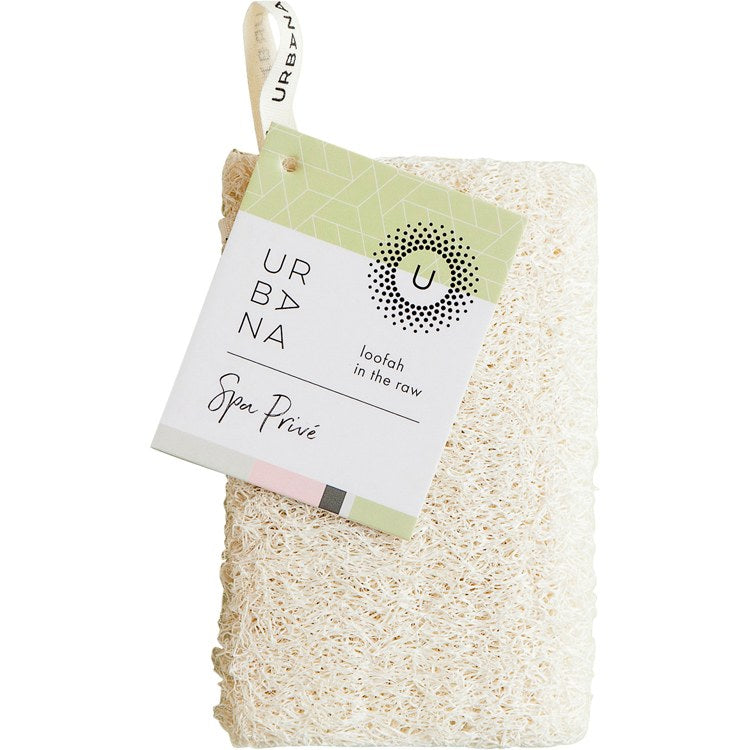 Product Image: 17516LR Bathroom/Bathroom Accessories/Back Brushes