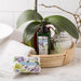25100NO9 Bathroom/Bathroom Accessories/Soaps & Lotions