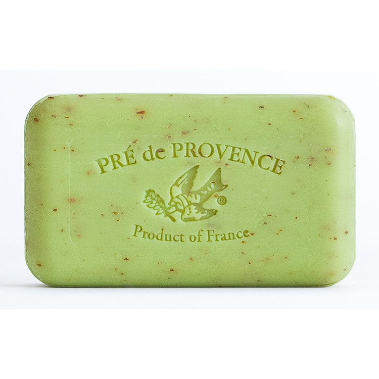 Product Image: 35159LZ Bathroom/Bathroom Accessories/Soaps & Lotions