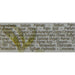 38100SO Bathroom/Bathroom Accessories/Soaps & Lotions