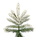 A895165 Holiday/Christmas/Christmas Trees
