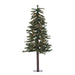 A805141 Holiday/Christmas/Christmas Trees