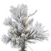 A155266LED Holiday/Christmas/Christmas Trees