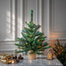 B160426LED Holiday/Christmas/Christmas Trees