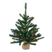 B160426LED Holiday/Christmas/Christmas Trees