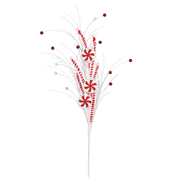 Product Image: QG205027 Holiday/Christmas/Christmas Artificial Flowers and Arrangements