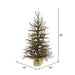 B167635 Holiday/Christmas/Christmas Trees