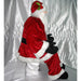 C896010 Holiday/Christmas/Christmas Outdoor Decor