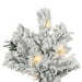 A806376LED Holiday/Christmas/Christmas Trees