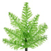 K162630 Holiday/Christmas/Christmas Trees