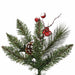 B166245 Holiday/Christmas/Christmas Trees