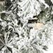 K173531LED Holiday/Christmas/Christmas Wreaths & Garlands & Swags