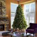 A118281LED Holiday/Christmas/Christmas Trees