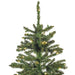 B160443LED Holiday/Christmas/Christmas Trees
