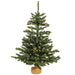 B160443LED Holiday/Christmas/Christmas Trees