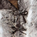 QTX17731 Holiday/Christmas/Christmas Stockings & Tree Skirts
