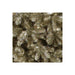 A107755 Holiday/Christmas/Christmas Trees