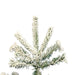 A862080 Holiday/Christmas/Christmas Trees