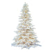 A893646LED Holiday/Christmas/Christmas Trees
