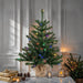 B160432LED Holiday/Christmas/Christmas Trees