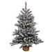 B160537LED Holiday/Christmas/Christmas Trees