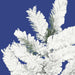 A806303-2 Holiday/Christmas/Christmas Indoor Decor