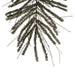 B167650 Holiday/Christmas/Christmas Trees
