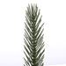 G188224 Holiday/Christmas/Christmas Trees