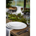PEP282-WHI Dining & Entertaining/Dinnerware/Dinner Plates