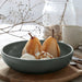 XOP223-ART-S6 Dining & Entertaining/Dinnerware/Dinner Bowls