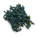 X6G2747CSA Holiday/Christmas/Christmas Lights