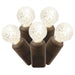 X4B9101PBG Holiday/Christmas/Christmas Lights