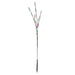 X15B624 Holiday/Christmas/Christmas Lights