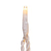 X17W241 Holiday/Christmas/Christmas Lights