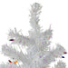 31465610 Holiday/Christmas/Christmas Trees