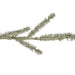 32620423 Holiday/Christmas/Christmas Trees