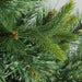 32265727 Holiday/Christmas/Christmas Trees